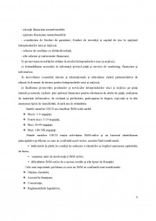 Fundamentarea deciziei de creditare a activității curente a societății SC Avatti Industries SRL - Pagina 5
