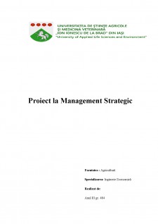 Fundamentarea strategiei de dezvoltare a firmei SC Comly SRL - Pagina 1