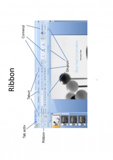 Informatică aplicată - Pagina 187