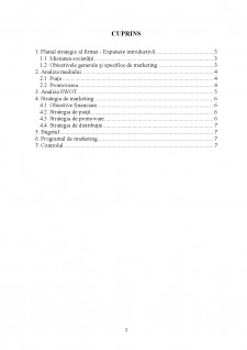 Planul strategic de marketing al societății Woodball - Pagina 2