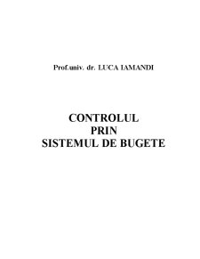 Controlul prin Sisteme de Bugete - Pagina 1