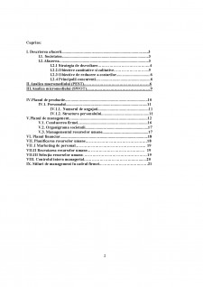 Analiza managementului firmei Lacto Prod SA - Pagina 2