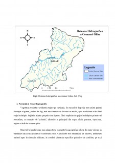 Potențialul natural al comunei Gilău - Pagina 4