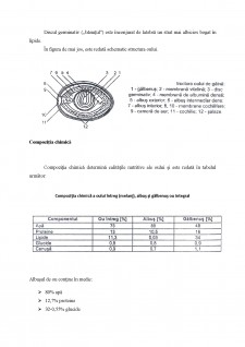 Structura morfologică a oului și compoziția chimică - Pagina 4