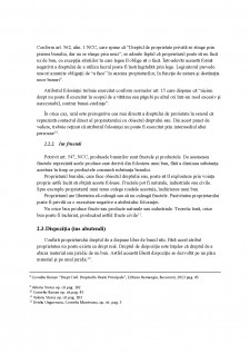 Limitele convenționale ale dreptului de propritate - Pagina 3