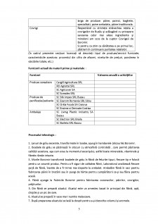 Indicatori utilizați în procesul de dezvoltare al unei societăți comerciale SC PATIPAN SA - Pagina 5