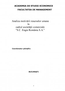 Analiza motivării resurselor umane în cadrul societății comerciale S.C. Engie România S.A. - Pagina 2