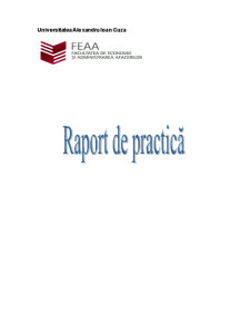 Raport practică management - marketing - Pagina 1