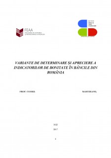 Variante de determinare și apreciere a indicatorilor de bonitate în băncile din România - Pagina 2