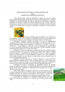 Degustare de vinuri la crama Murfatlar - Pagina 2