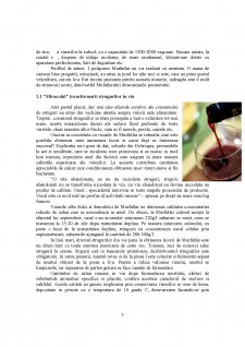 Degustare de vinuri la crama Murfatlar - Pagina 3