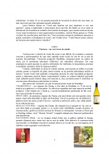 Degustare de vinuri la crama Murfatlar - Pagina 4