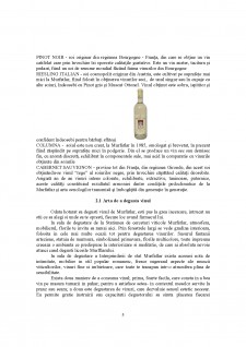 Degustare de vinuri la crama Murfatlar - Pagina 5