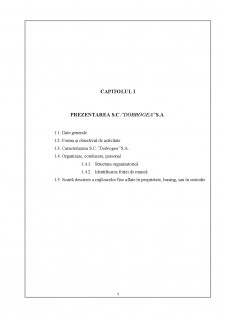 Analiza potențialului financiar al S.C. Dobrogea S.A. - Pagina 1