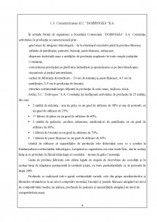 Analiza potențialului financiar al S.C. Dobrogea S.A. - Pagina 4