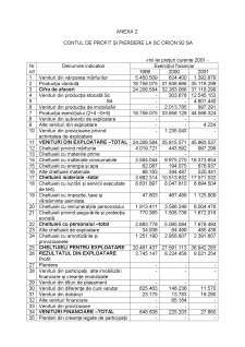Analiza rentabilității entității economice - Studiu de caz la SC Orion 92 SA - Pagina 2