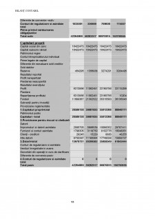 Analiza dinamică a bilanțului contabil - Pagina 3