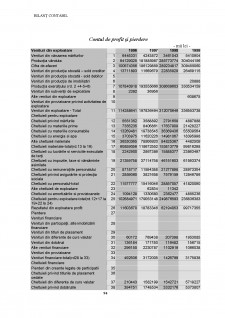 Analiza dinamică a bilanțului contabil - Pagina 4