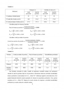 Analiza rentabilității - Pagina 4