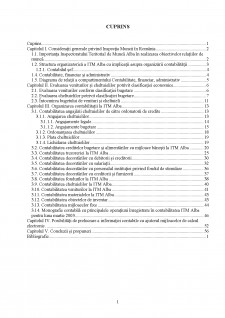 Organizarea contabilității la Inspectoratul Teritorial de Muncă Alba - Pagina 3
