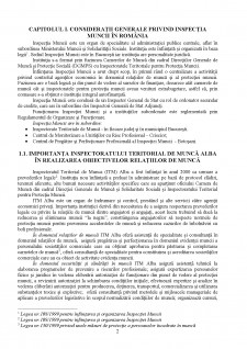 Organizarea contabilității la Inspectoratul Teritorial de Muncă Alba - Pagina 4