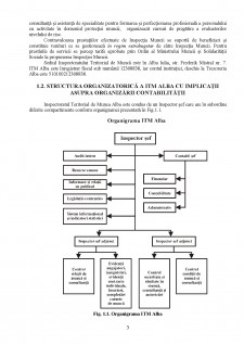 Organizarea contabilității la Inspectoratul Teritorial de Muncă Alba - Pagina 5