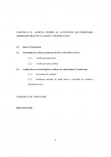 Auditul intern al activității de creditare în contextul crizei economice - Pagina 3