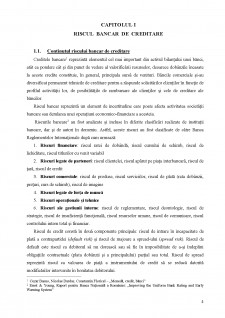 Riscurile aferente activității de creditare - Pagina 4