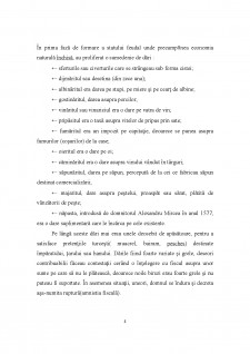 Reglementarea juridică a impozitelor indirecte în România - Pagina 4