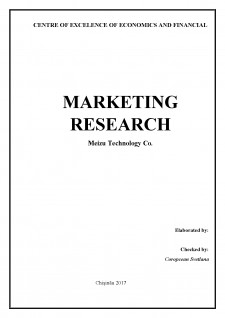 Marketing research Meizu Technology CO - Pagina 1