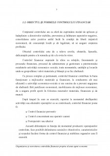 Organizarea și exercitarea controlului financiar propriu al unui agent economic - Pagina 5