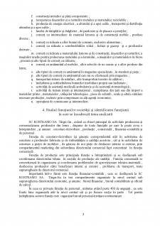 Contabilitatea relațiilor cu partenerii comerciali la SC Rostramo SA - Pagina 3
