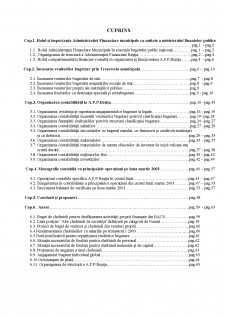 Organizarea contabilității la administrația finanțelor publice Reșița - Pagina 2