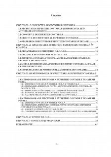 Metodologia de efectuare a expertizei contabile - Pagina 3