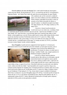 Proiectarea unui abator cu capacitatea de 70 porci pe oră - Pagina 4