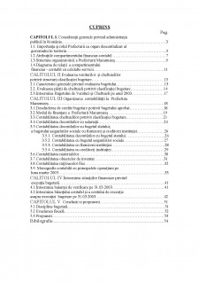 Organizarea contabilității la prefectura Maramureș - Pagina 1