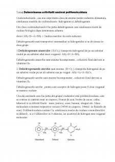 Analiza calitativă a aminoacizilor și proteinelor - Pagina 2