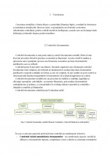 Procedee și tehnici de control financiar - Pagina 5