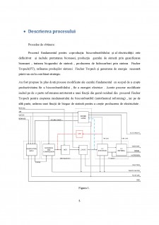 Gazeificarea biomasei - producerea de electricitate - Pagina 5