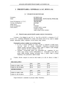 Analiza Situației Financiare la SC Rusca SA - Pagina 2