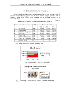 Analiza Situației Financiare la SC Rusca SA - Pagina 5