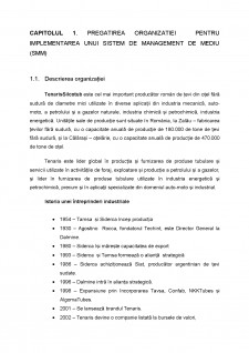 Sistemul de management integrat de mediu al firmei SC Tenaris Silcotub SA - Pagina 4