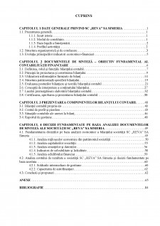 Documentele de sinteză - Obiectiv fundamental al contabilității financiare - Pagina 1