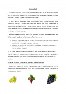 Tehnologia de fabricare a vinurilor roze - Pagina 2
