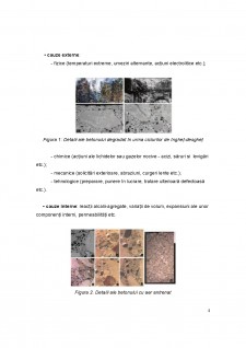 Coroziunea betonului armat - Pagina 5