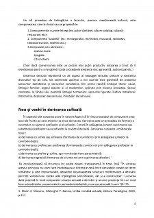 Comentariu Vocabularul limbii române actuale de Adriana Stoichitoiu-Ichim - Pagina 5