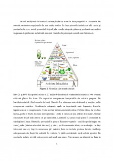 Piramidele alimentare Asiatică, mediteraneană și vegetariană - Pagina 5