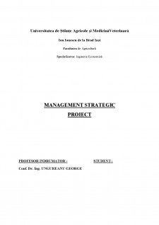 Fundamentarea strategiei de dezvoltare a firmei S.C. Cristim 2 Prodcom S.R.L. - Pagina 1