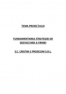 Fundamentarea strategiei de dezvoltare a firmei S.C. Cristim 2 Prodcom S.R.L. - Pagina 2