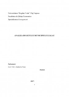 Analiza bugetului municipiului Zalău - Pagina 1